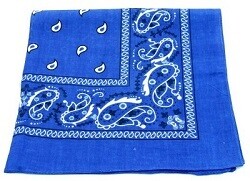 Blue bandana with white pattern, folded.