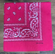 Pink Bandana